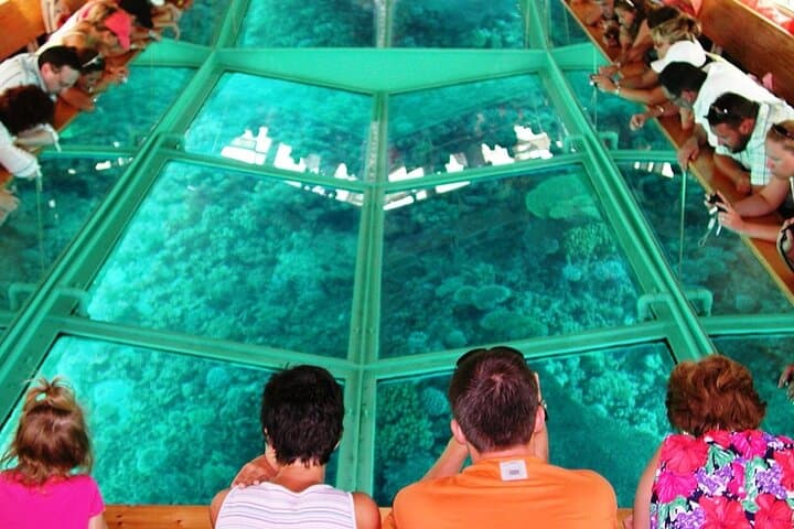 Glass-Bottom Boat Trip in Dahab: 90-Min Reef Cruise to Napoleon Reef