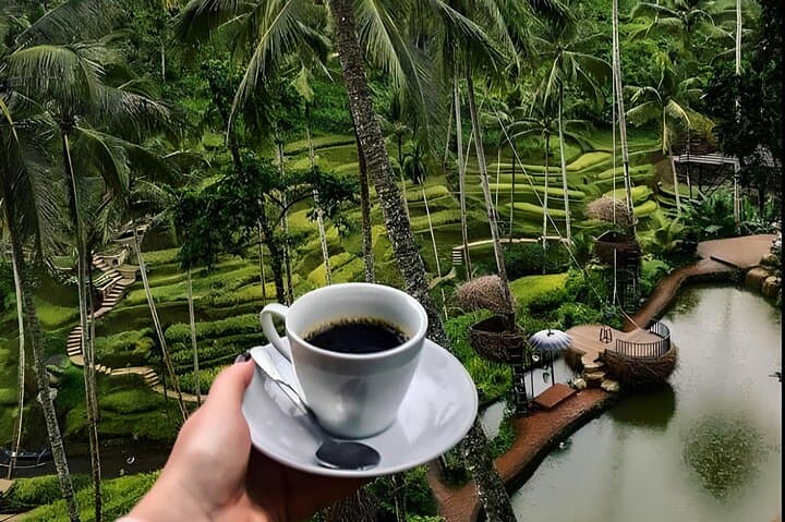 Mount Batur Sunrise Trek: Bali Volcano Hike, Caldera Views & Summit Breakfast photo 6