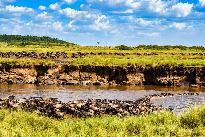 Grumeti River Safari: 8-Day Luxury Migration Experience in Tanzania (May–July)