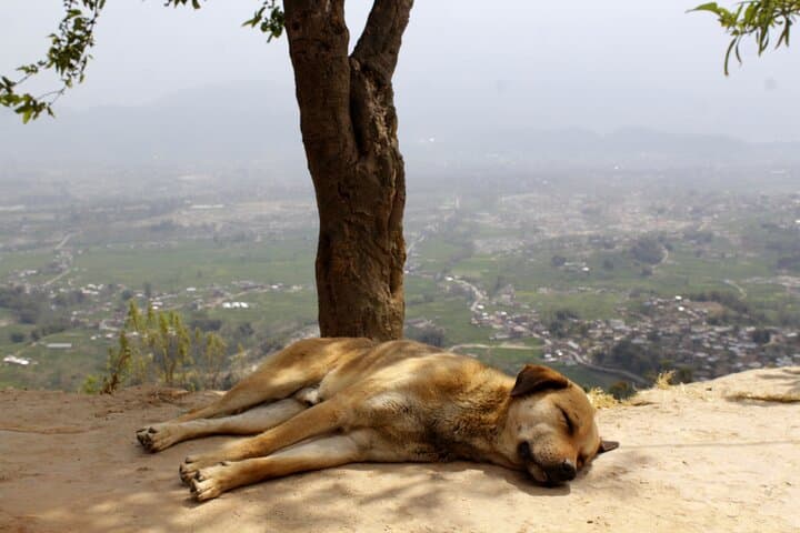 Changunarayan to Telkot Hill Hike Near Kathmandu — Day Hike with Temple & Village Views photo 3