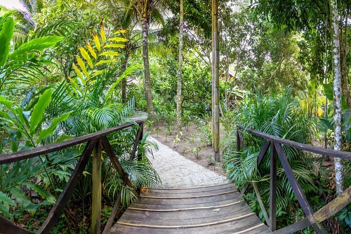 Fond Doux Private Walking Tour: Taste Tropical Fruits & Birdsong in Soufrière photo 3