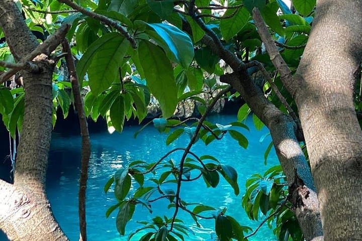 Zanzibar Day Tour: Maalum Cave, Prison Island Snorkel & Kendwa Sunset photo 1