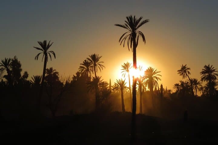 Palmeraie Quad Biking and Camel Ride — Half-Day Adventure from Marrakech photo 3