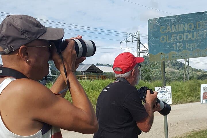 Achiote Road Birding from Colón Port — Full-Day Birdwatching Tour photo 5