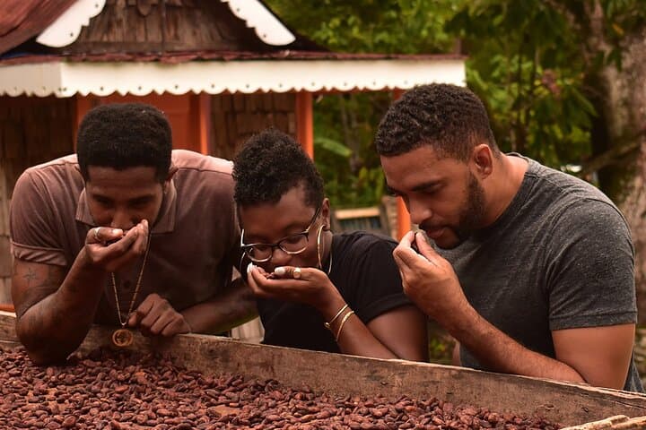 Fond Doux Private Chocolate Making Class in Soufrière, St Lucia