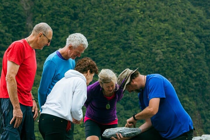 Fox Glacier Nature Tour: Rainforest Walk to Fox Neve & Mt Tasman Views photo 2