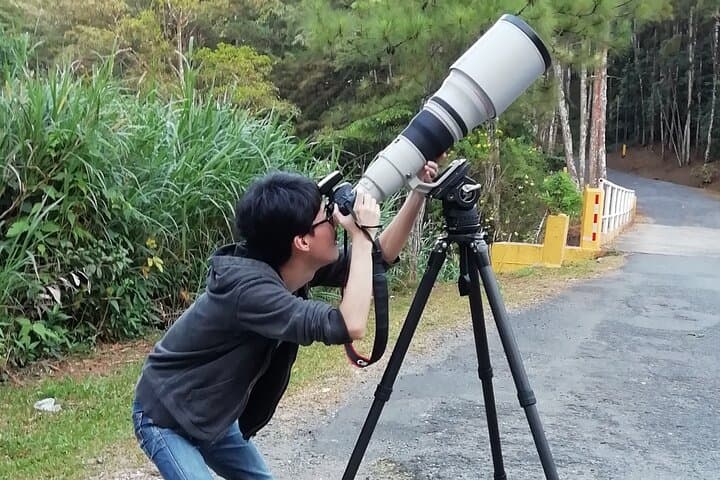 Birding Pipeline Road: Panama’s Premier Day-Trip for Tropical Birds photo 6