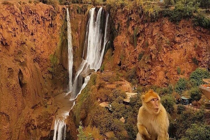 Ouzoud Waterfalls Guided Hike and Boat Trip from Marrakech — Full-Day Cascades Adventure photo 3
