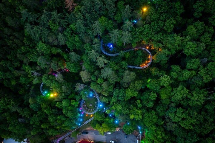 Moonshine Mountain Coaster Ride in Gatlinburg — Driver-Controlled Mountain Coaster Experience photo 3
