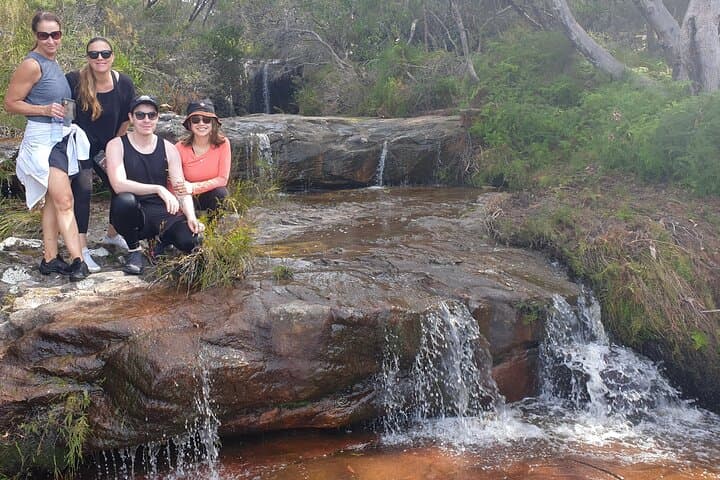 Pittwater Lunch Paddle and Lovett Bay Waterfall Bush Walk