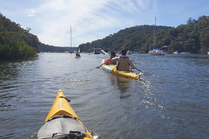 Pittwater Lunch Paddle and Lovett Bay Waterfall Bush Walk photo 3