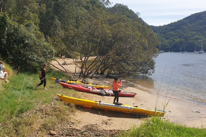 Pittwater Lunch Paddle and Lovett Bay Waterfall Bush Walk photo 4