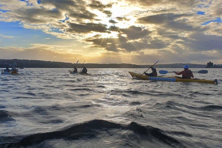Sydney Harbour Bridge Kayak & Breakfast Tour — Paddle Past the Opera House photo 3