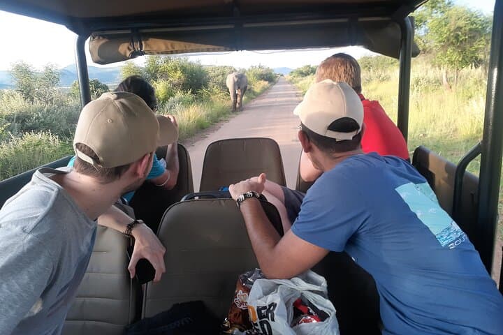Pilanesberg Open Safari: 6-Hour Big Five Game Drive from Sun City