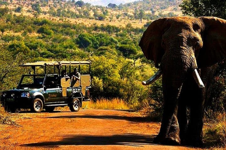 2-Day Pilanesberg Camping Safari — Big Five Game Drives from Johannesburg photo 1