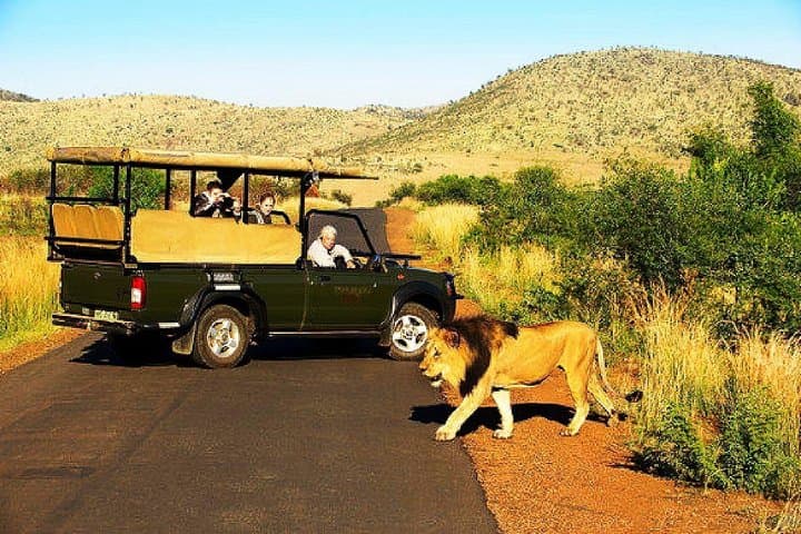 2-Day Pilanesberg Camping Safari — Big Five Game Drives from Johannesburg photo 3