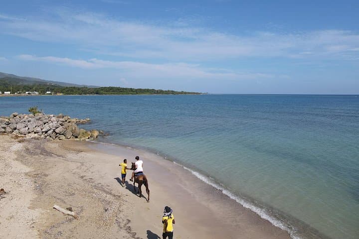 Horseback Ride and Swim in Ocho Rios: Guided Beach Horseback Adventure photo 2