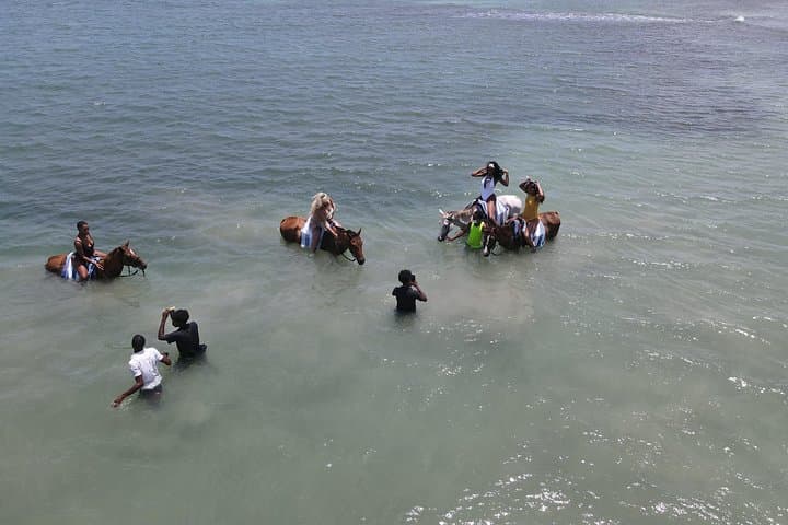 Horseback Ride and Swim in Ocho Rios: Guided Beach Horseback Adventure photo 4