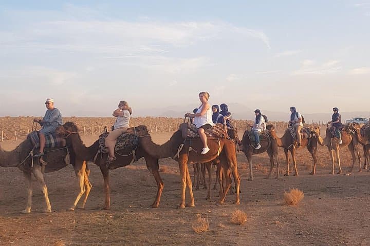 Atlas Mountains Imlil Valley Day Tour from Marrakech: Berber Villages, Juniper Forest & Camel Ride photo 2