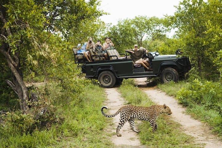 Big Five Kruger Full-Day Safari from Hazyview — Phabeni Gate to Skukuza photo 1
