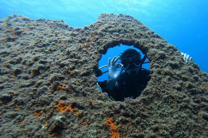 Dive the Lidador Shipwreck: Try Scuba in Angra do Heroísmo, Terceira photo 3