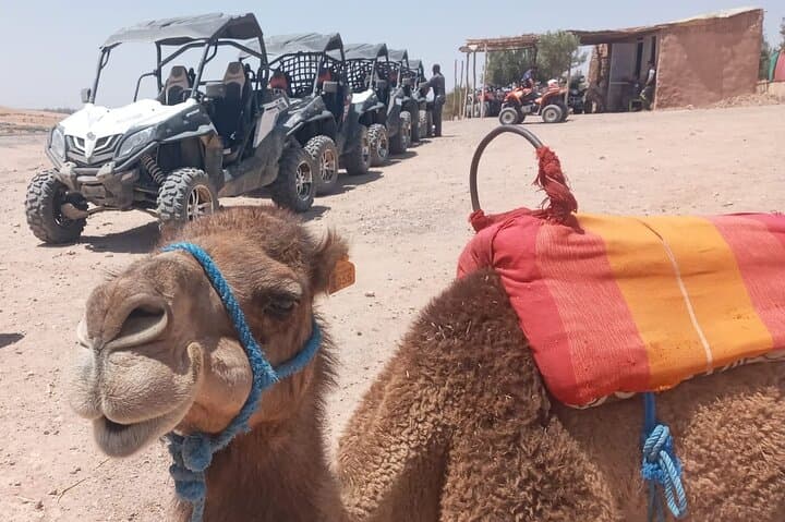 Half-Day Agafay Desert Buggy & Quad Adventure from Marrakech photo 3