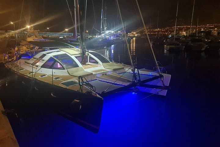 Private Catamaran Whale Watching in Tenerife: Los Gigantes & Masca Bay photo 1