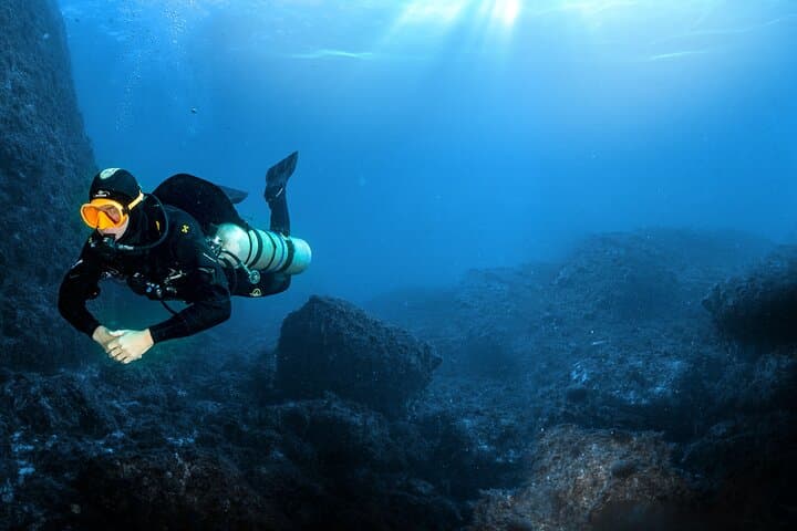 Full-Day Snorkeling and Guided Dive in the Calanques National Park from Marseille — Boat Trip to Turquoise Coves photo 3