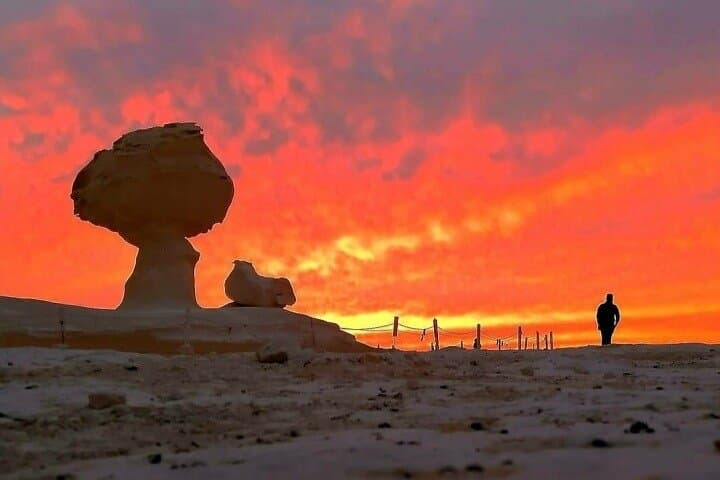 White Desert 2-Day Camping Tour from Cairo: Sleep Among Egypt's Chalk Mushrooms photo 1
