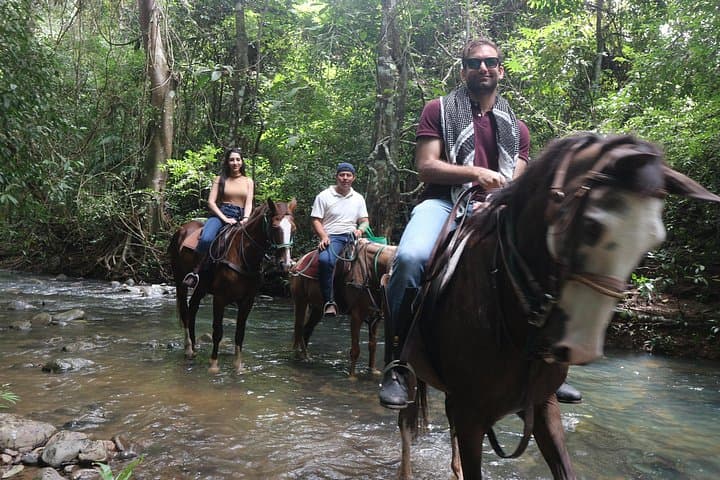 Horseback Riding Near Panama City: Cerro Azul Trails & River Swims photo 1