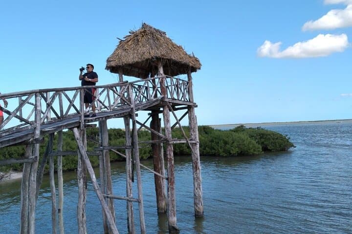 Holbox Private Sunset Tour: Yalahau Cenote, Isla Pasión & Sunset Views photo 5