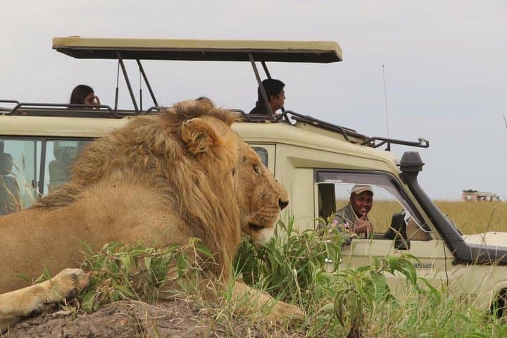 Private 3-Day Maasai Mara Safari: Big Cats, Rift Valley Views & River Camps photo 1