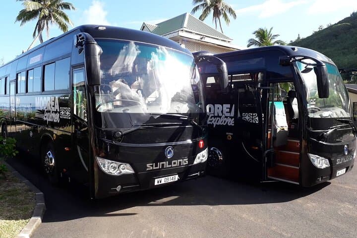 Shared Transfer Moorea Airport & Pier to Hotel — Door-to-Door Arrival Service photo 1