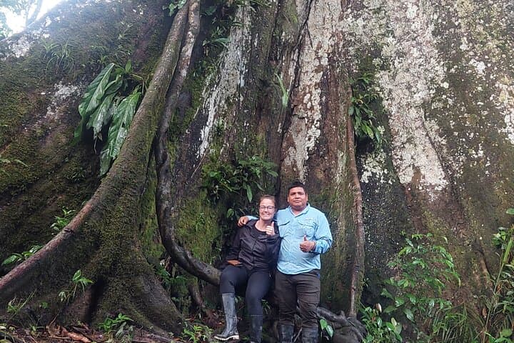 Amazon Wildlife Explorations: 3-Day Private Jungle Lodge Adventure from Iquitos photo 3