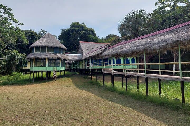Amazon Wildlife Explorations: 3-Day Private Jungle Lodge Adventure from Iquitos photo 4