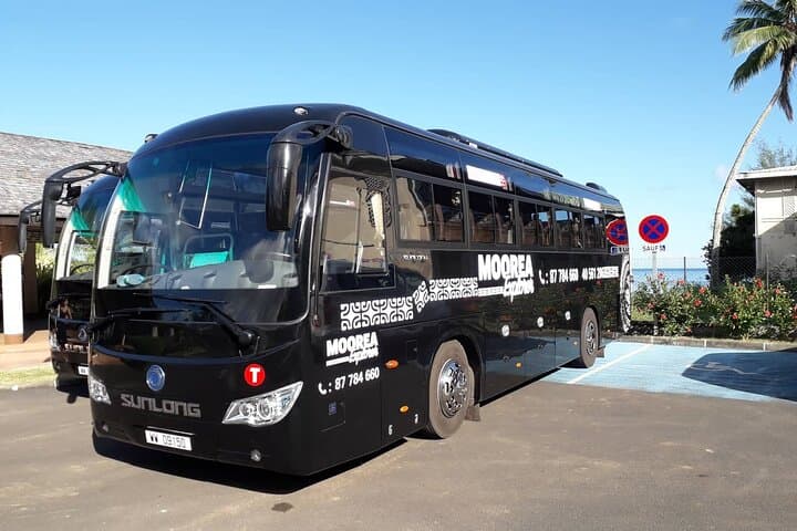 Shared Transfer Moorea Airport & Pier to Hotel — Door-to-Door Arrival Service photo 2