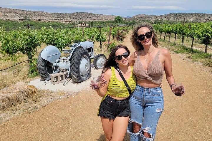 Sedona & Jerome Wine Tour: Page Springs Vineyards, Private Tastings and Lunch photo 1