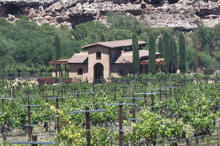 Sedona & Jerome Wine Tour: Page Springs Vineyards, Private Tastings and Lunch photo 3