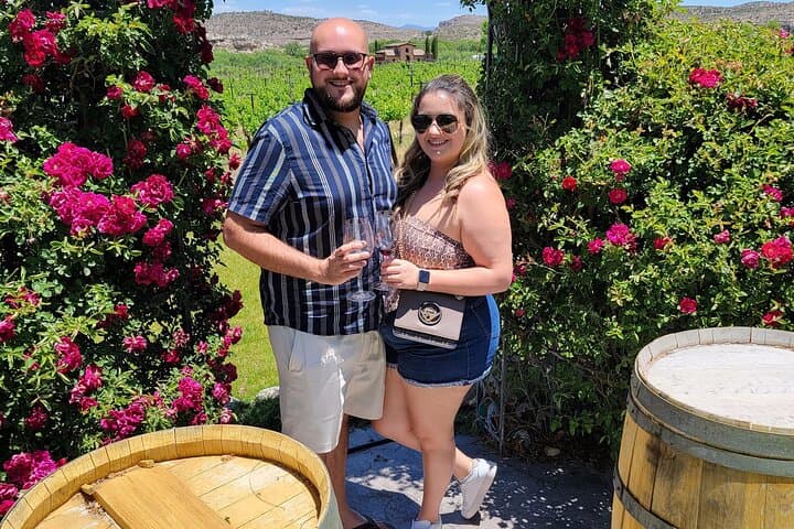 Sip and Explore: Private Sedona Wine Tour Along Page Springs Road