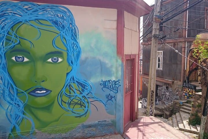 Valparaiso and Viña del Mar: Full-Day Private Coastal Tour from Santiago photo 3