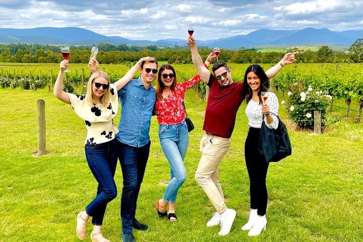 Gourmet Yarra Valley Wine Tour: Chocolate, Fruit & Optional Gin Tastings from Melbourne photo 4