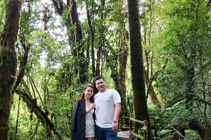 Private Chiang Mai to Chiang Rai: 3-Day Cultural & Highland Tour photo 4