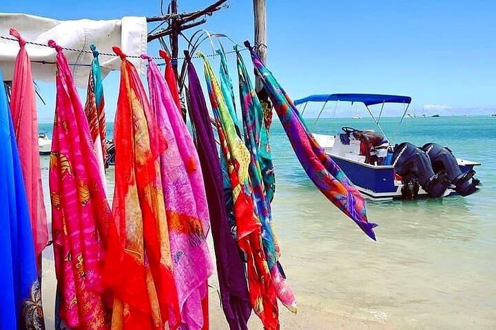 Full-Day Dolphin Encounters & Crystal Rock Snorkel at Benitiers Islet photo 4