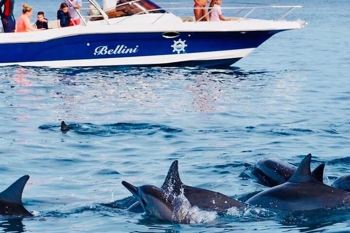 Full-Day Dolphin Encounters & Crystal Rock Snorkel at Benitiers Islet
