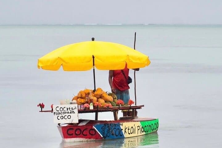 Full-Day Dolphin Encounters & Crystal Rock Snorkel at Benitiers Islet photo 3