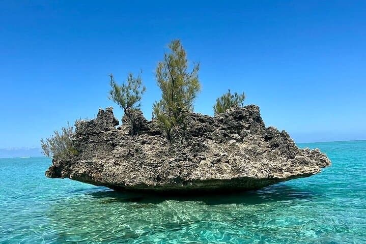 Full-Day Dolphin Encounters & Crystal Rock Snorkel at Benitiers Islet photo 5