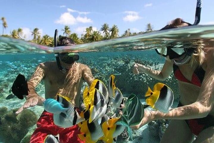 Blue Lagoon Snorkeling & Waterfall Day Trip from Ubud — Padangbai, Kanto Lampo & Tibumana photo 6