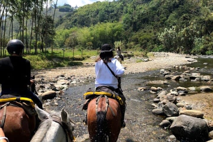 Horseback Riding in Cocora Valley & Salento: Wax Palms, Coffee Views, Day Tour photo 5