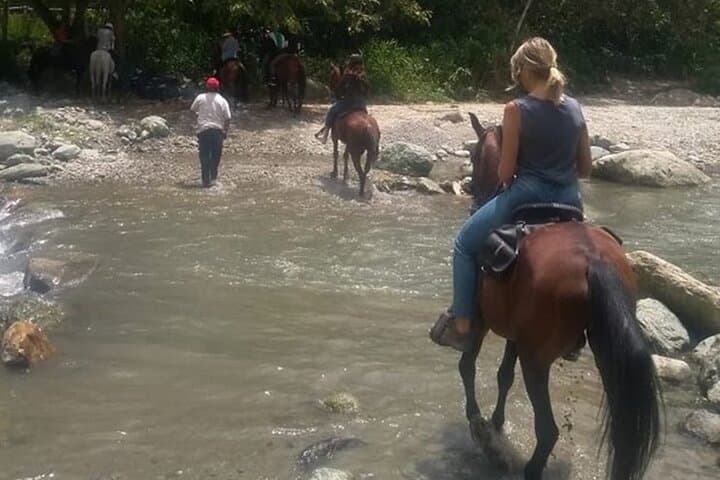 Horseback Riding in Cocora Valley & Salento: Wax Palms, Coffee Views, Day Tour photo 6