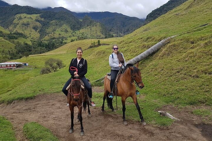 Horseback Riding in Cocora Valley & Salento: Wax Palms, Coffee Views, Day Tour photo 3
